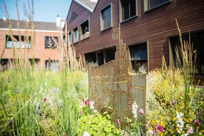 a wooden fence in the middle of a field of flowers at Business Appartement 2 am Bodensee in Romanshorn