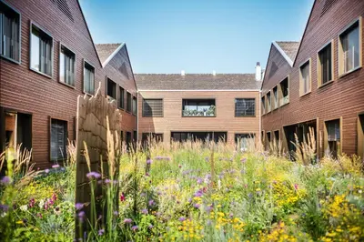 a field of flowers in front of a building at Business Appartement 2 am Bodensee in Romanshorn