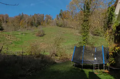 a yard with a blue net in the grass at Ferienwohnung im Grünen in Altstätten