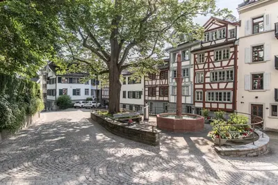 a tree in the middle of a street with buildings at Klara 1031 - Olma, Spital, Uni St- Gallen in St. Gallen