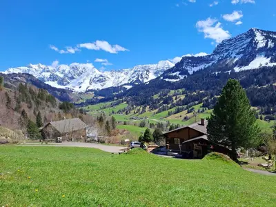 a house in a field with mountains in the background at IB Säntis Chalet Chnorz Apartment in Nesslau