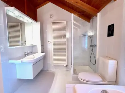 a bathroom with a sink and a toilet and a shower at Wunderschöne Maisonette-Ferienwohnung in stattlichem Toggenburgerhaus in Sankt Peterzell