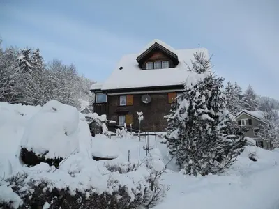 a house covered in snow with trees and bushes at Wunderschöne Maisonette-Ferienwohnung in stattlichem Toggenburgerhaus in Sankt Peterzell