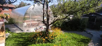 a greenhouse in a yard with a tree and flowers at Bijou 1 Hübsche 1 Zimmer Wohnung in Herisau