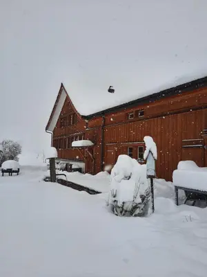 a person standing in front of a barn covered in snow at Ferienhaus Rütiweid in Appenzell