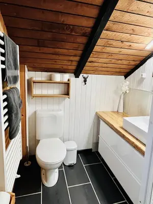 a bathroom with a toilet and a sink at Chalet - Kleines Paradies - in Appenzell