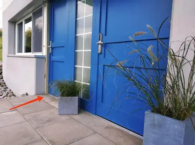 a blue door with two potted plants in front of it at Sonniges Studio mit Aussicht in Oberegg