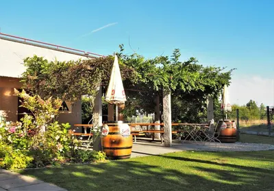 a patio with a table and some wine barrels at Jugendherberge Romanshorn in Romanshorn