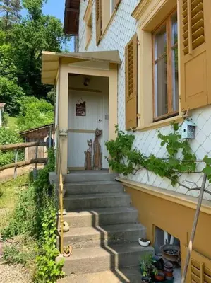 two cats sitting on the front door of a house at Naturoase Säntisblick-Auszeit am Wald und Bach in Kradolf