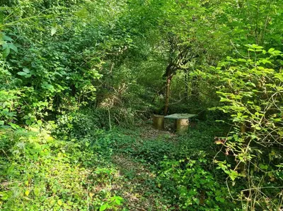 a park with a bench in the middle of a forest at Naturoase Säntisblick-Auszeit am Wald und Bach in Kradolf