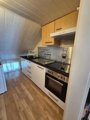 a small kitchen with a stove and a sink at Villa Donkey Ferienwohnung in Degersheim