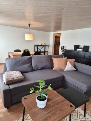 a living room with a gray couch and a table at Villa Donkey Ferienwohnung in Degersheim