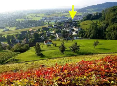 a view of a village from a hill with a yellow arrow at Dachwhg an schöner Aussichtslage in Berneck