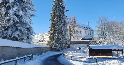 a snow covered yard with a house and a tree at 2-4 Zimmer Apartments Stilvoll im Gertrud Schlössli - zentral ruhig in St. Gallen