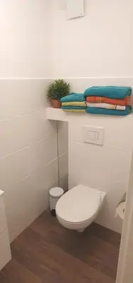 a bathroom with a toilet and a shelf with towels at Stilvoll Gertrud Schlössli 1 Zi Studio in St. Gallen