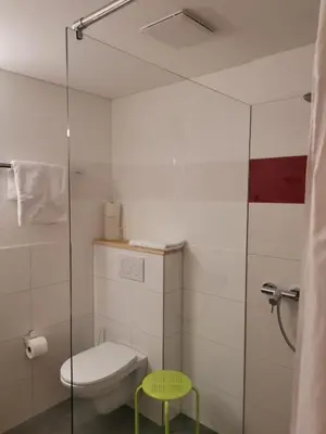 a bathroom with a toilet and a glass shower at Gästehaus Eisenhut in Walzenhausen