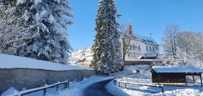a snow covered path in a forest with snow covered trees at 2 Zimmer Zentral-ruhig mit Flair Gertrud Schlössli 3Z2 in St. Gallen