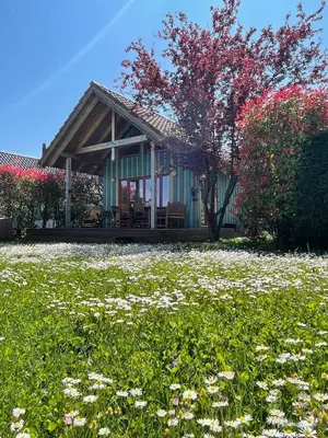 a house with a field of flowers in front of it at Ferienhäuschen mit privatem Seezugang in Bottighofen