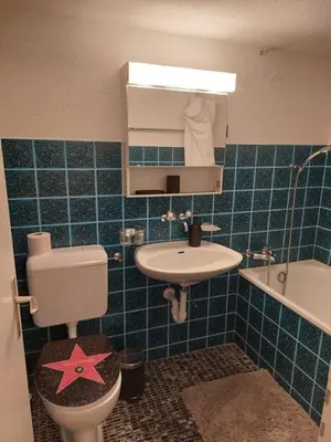 a blue tiled bathroom with a toilet and a sink at Global Citizen 7 in St. Gallen