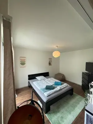 a bedroom with a bed in a room at Sonniges Bodensee-Balkonidyll in Arbon