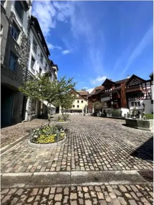 a cobblestone street with a tree and buildings at Gemütliches Studio nahe Bodensee in Arbon