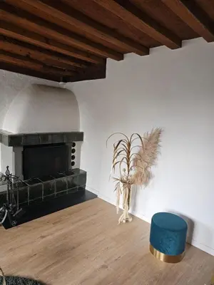 a living room with a fireplace and a vase with a plant at Historische Stadtmauer mit Seeblick in Arbon