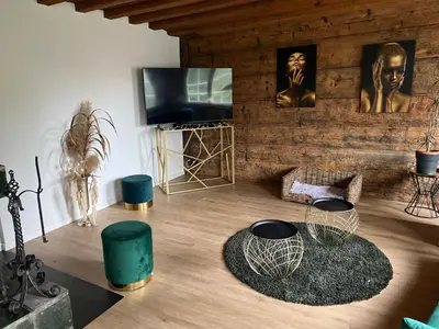 a living room with a television and a wooden wall at Historische Stadtmauer mit Seeblick in Arbon