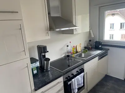 a white kitchen with a sink and a refrigerator at Ferienwohnung am Bodensee in Rorschach