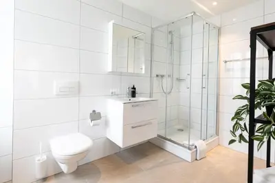 a white bathroom with a toilet and a shower at INN JOY Apartments - Roter Platz in St. Gallen