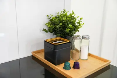 a table with a black box and a potted plant at Book2Stay - modernes Studio OLMA-Areal in St. Gallen