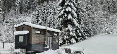 a small cabin in the snow with snow covered trees at Tiny House im Grünen in Sankt Margrethen