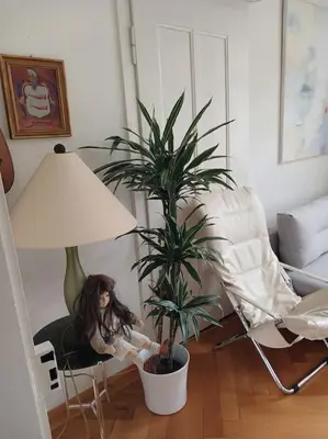 a girl sitting in a chair next to a plant at Charmante Jugendstilwohnung mit Tiefengaragenplatz in St. Gallen