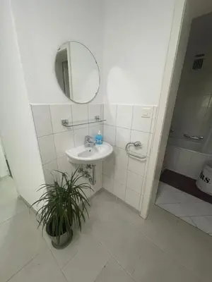 a bathroom with a sink and a mirror and a plant at MTL Schweiz Apartments in Kreuzlingen