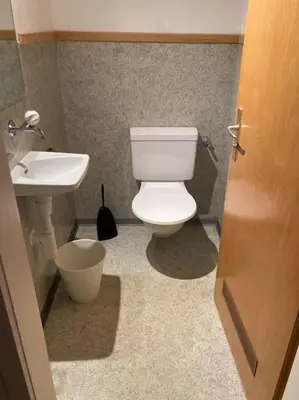 a bathroom with a white toilet and a sink at 11 - Gästehaus Erika - Hundwil - Appenzellerland in Hundwil