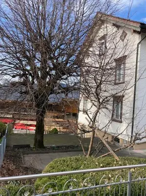 a house with a tree in front of a fence at 10 - Gästehaus Erika - Hundwil - Appenzellerland in Hundwil