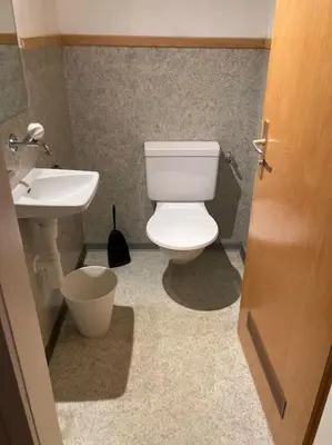a bathroom with a white toilet and a sink at 20 - Gästehaus Erika - Hundwil - Appenzellerland in Hundwil