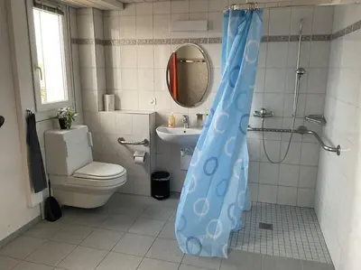 a bathroom with a toilet and a shower curtain at 24 - Gästehaus Erika - Hundwil - Appenzellerland in Hundwil