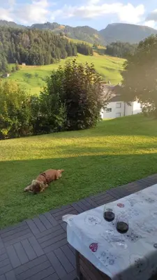 a dog laying in the grass next to a table at Wildhaus Ferienwohnung in Wildhaus