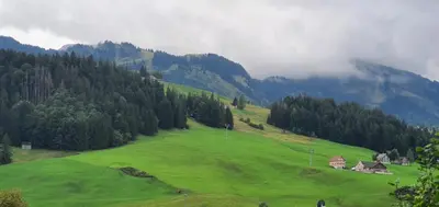 a green field with a house on the side of a mountain at Wildhaus Ferienwohnung in Wildhaus