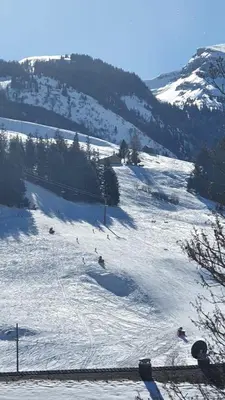 a group of people skiing down a snow covered slope at Wildhaus Ferienwohnung in Wildhaus