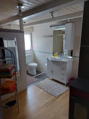 a bathroom with a sink and a toilet and a mirror at Bauernhaus Hinterbühle in Wolfhalden