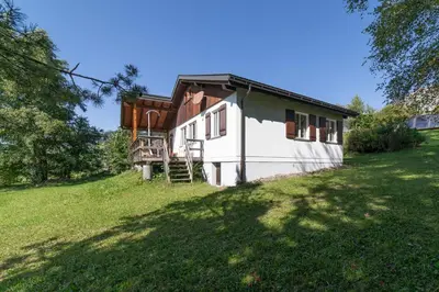 a house on a grassy hill with a tree at Dorea in Wildhaus