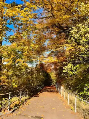 a path in a park with trees and a fence at Zentrales Apartment St Gallen an der Olma in St. Gallen