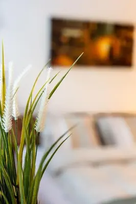a green plant with white flowers in a vase at Nachhaltig Wohnen im 1, Stock, gratis Parkplatz! in St. Gallen