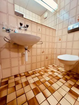 a bathroom with a sink and a toilet at Private room with Bathroom and Lake View in Guest House in Heiden