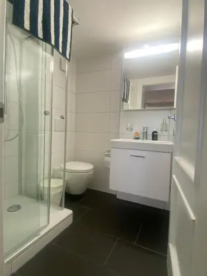 a white bathroom with a toilet and a sink at Gemütliches Apartment am Schloss in Arbon