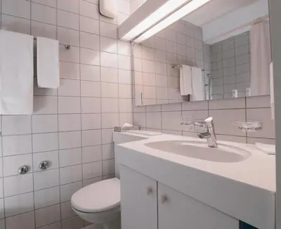 a bathroom with a toilet and a sink and a mirror at Hotel Thurgauerhof Self-Check-in in Weinfelden
