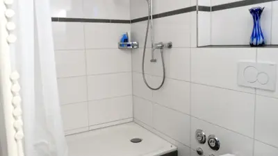 a white bathroom with a shower with a toilet at Ninety Apartments in St. Gallen