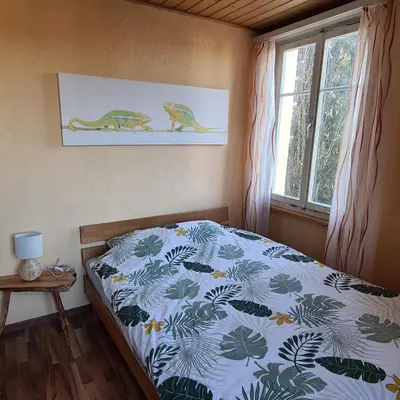 a bedroom with a bed with a bedspread with dinosaurs on it at Auszeitoase am Wald und Bach in Kradolf