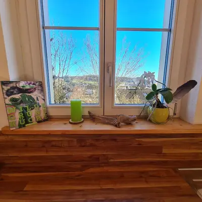 a window sill with a green cup and a plant at Auszeitoase am Wald und Bach in Kradolf